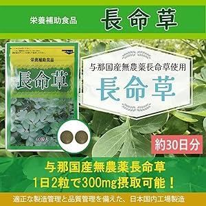 長命草【約1か月分】
