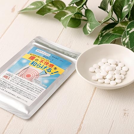 【機能性表示食品】腰楽モリンガ【約1か月分】腰の負担を感じやすい方の腰の不快感を和らげる!