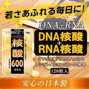 核酸600プラス【約1か月分】
