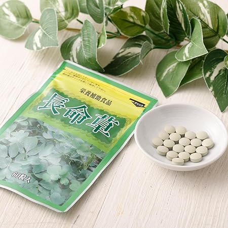 長命草【約1か月分】